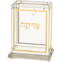 תמונה 1