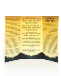 תמונה 3