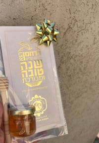 תמונה 3