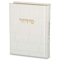 תמונה 2