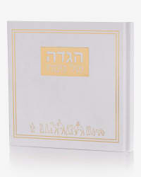 תמונה 3