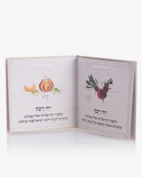 תמונה 1
