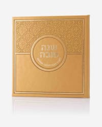 תמונה 2