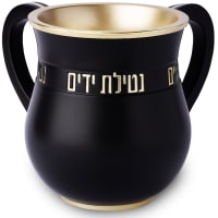 תמונה 2