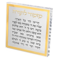 תמונה 2
