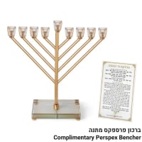 תמונה 1