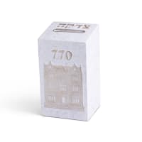 תמונה 2