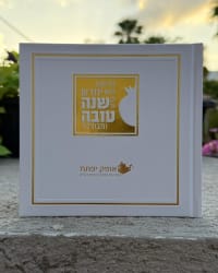 תמונה 1