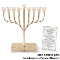 תמונה 1