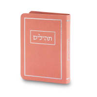תמונה 2