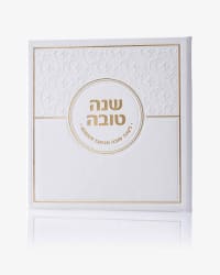 תמונה 2