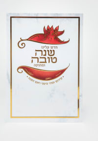 תמונה 2