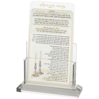 תמונה 2