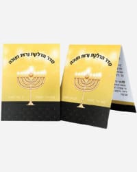 תמונה 3