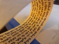 תמונה 2