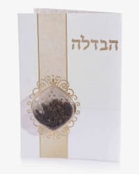 תמונה 1