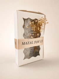 תמונה 2