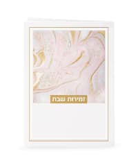 תמונה 2