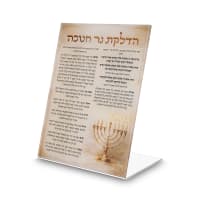 תמונה 1