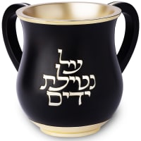 תמונה 2