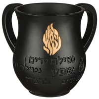 תמונה 2