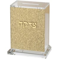 תמונה 2