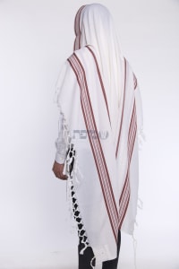 תמונה 2
