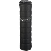 תמונה 2