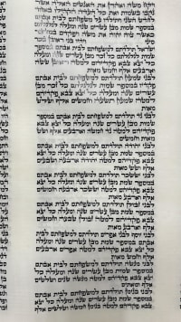 תמונה 2