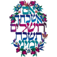 תמונה 2