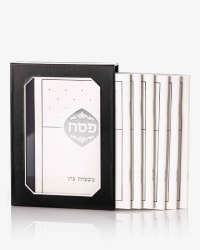 תמונה 1