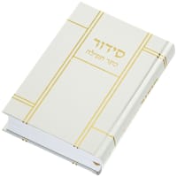 תמונה 1
