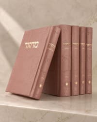 תמונה 3