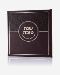 תמונה 2