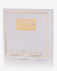 תמונה 3