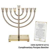 תמונה 2