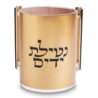 תמונה 2