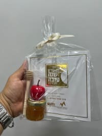 תמונה 1