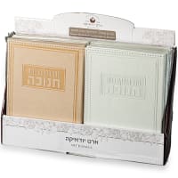 תמונה 2