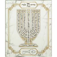 תמונה 2