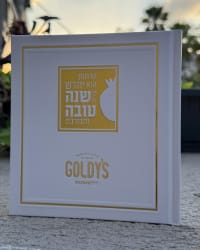 תמונה 3