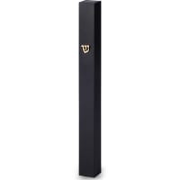 תמונה 1