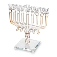 תמונה 1