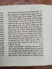 תמונה 1