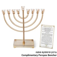 תמונה 1