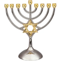 תמונה 2