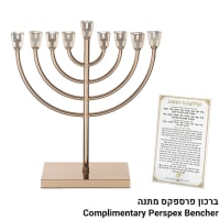 תמונה 2
