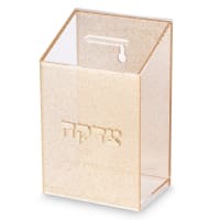 תמונה 2