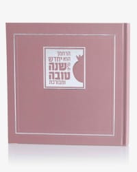 תמונה 3