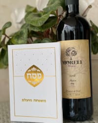 תמונה 1
